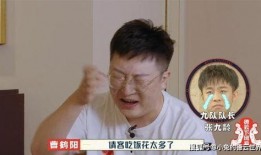 男团采访爆料视频大全集